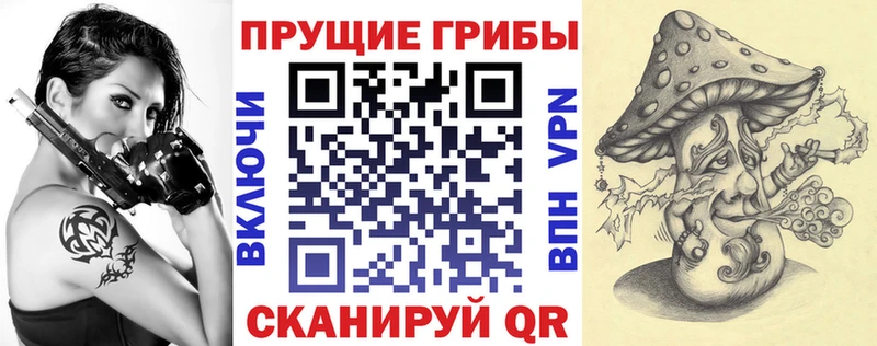 Псилоцибиновые грибы GOLDEN TEACHER  как найти наркотики  Харовск 
